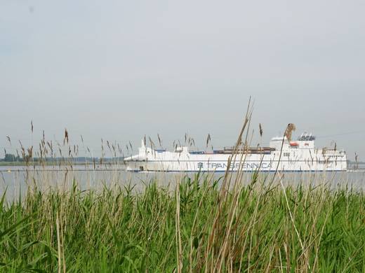 Hafen Antwerpen: Mehr Schiffe nehmen Umwelt-Rabatte in Anspruch