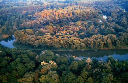 Umstrittenes Donau-Pilotprojekt Bad Deutsch-Altenburg soll noch 2011 starten