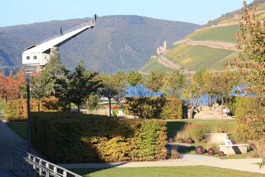 Schönheit contra Sicherheit: Streit um Havarieanlegestelle in Bingen