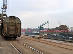 Niehler Hafen erholt sich schnell von der Krise